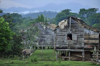 Nicaragua is only beginning to work on a REDD+ policy