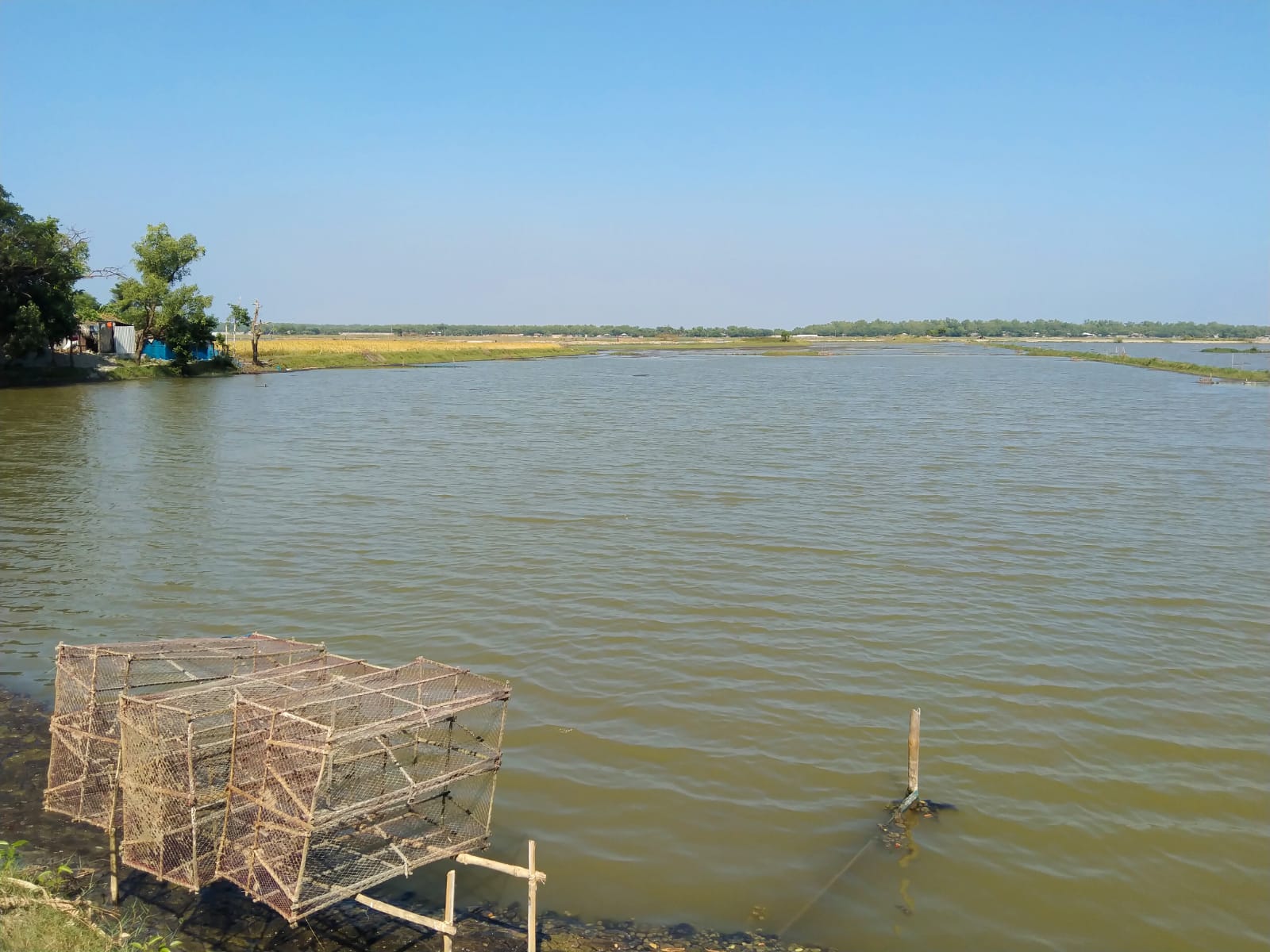 Cage for breeding fish. 