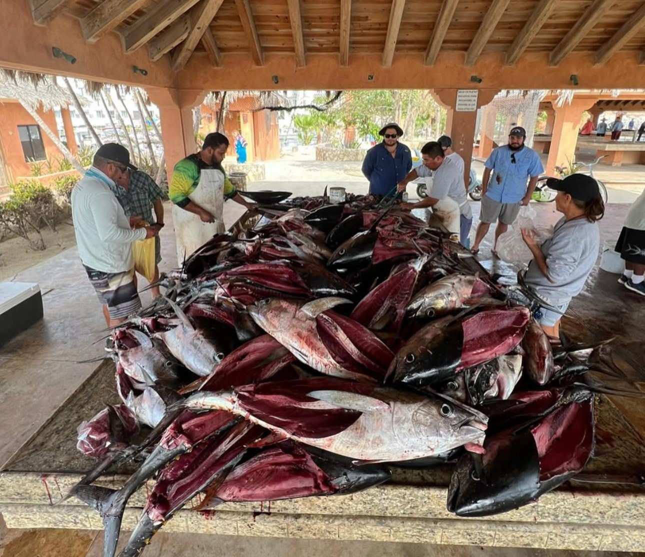 The fish filleting area in Rincon de La Playa.