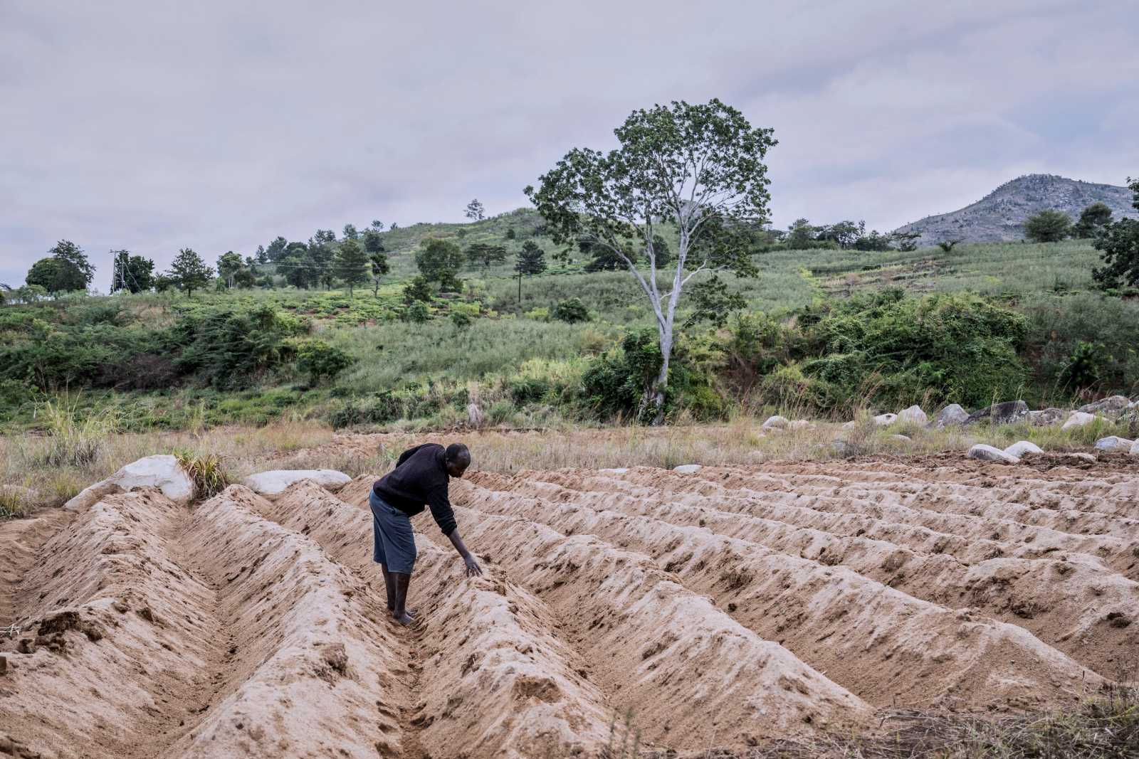 Eine von einem Zyklon verwüstete Farm in Südmalawi.