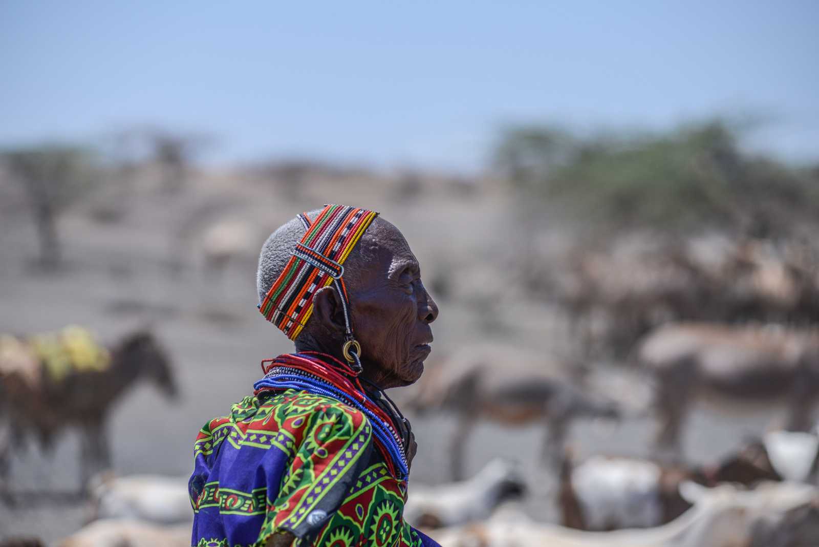 Many African communities have traditionally cared for  and respected their elders, but modern pressures and economic strain have weakened support systems.