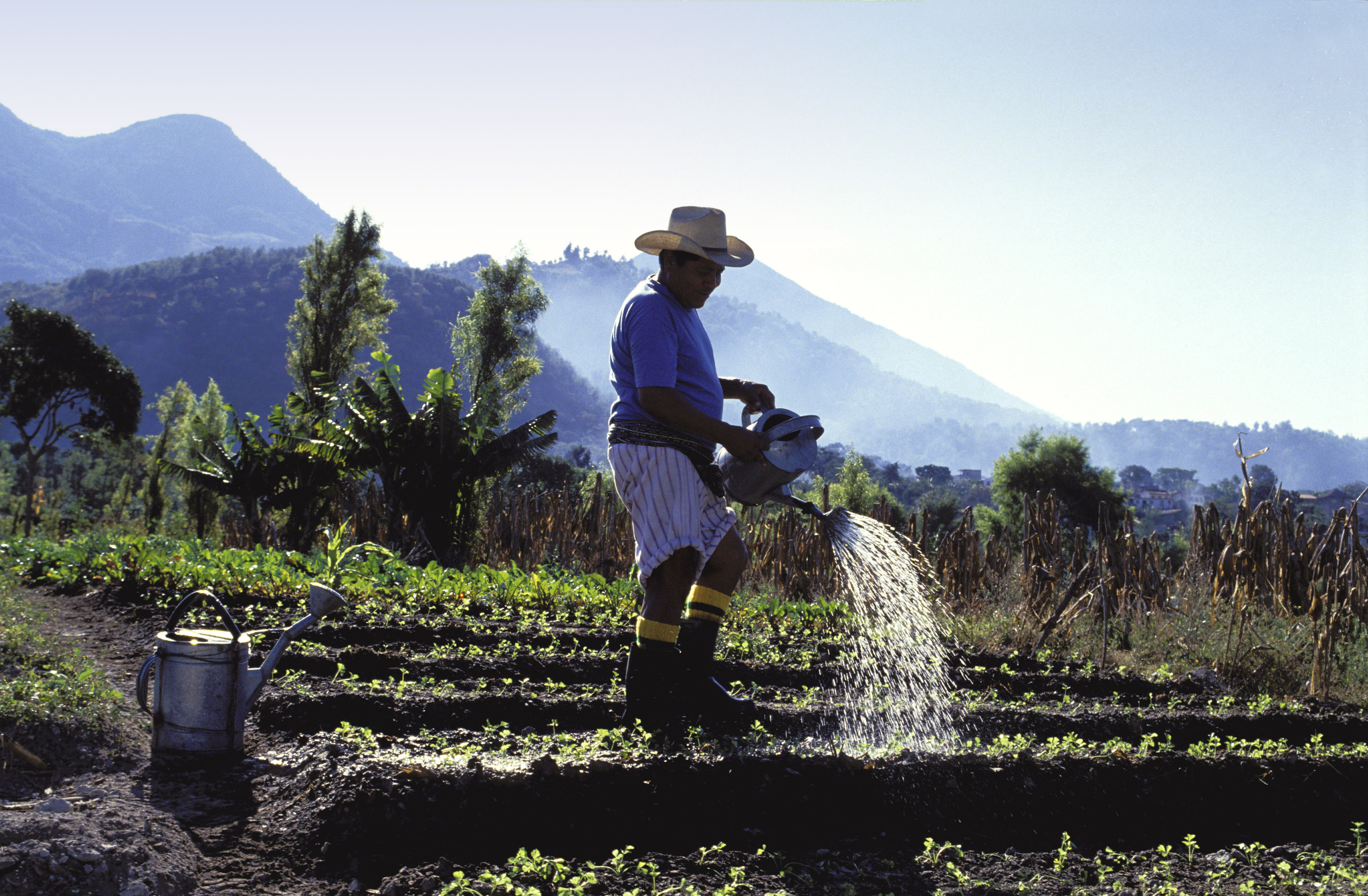 The food farmers grow for themselves does not figure in GDP statistics.