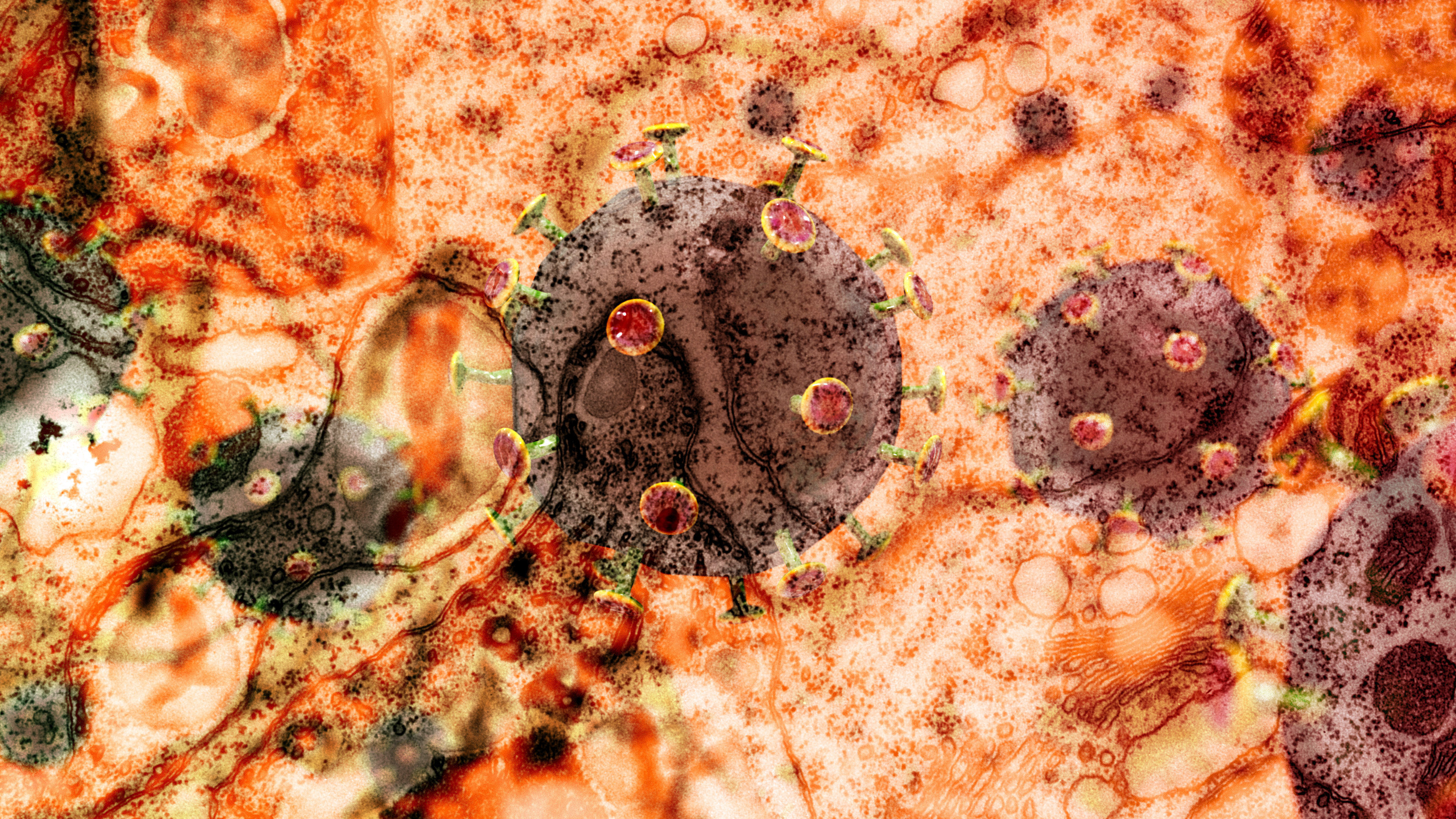 Stylised image of the novel coronoa virus.