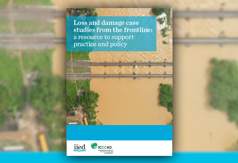 Report von IIED und ICCCAD, 2021.