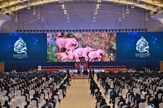 Opening ceremony of the biodiversity summit in Kunming.