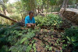 Land can serve more than one purpose: agroforestry in East Timor.