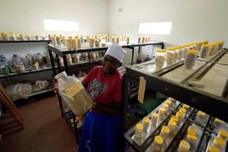 Seed bank in Zimbabwe’s arid Rushinga district.