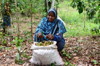 Spices secure the livelihood of women in Zanzibar in many different ways.