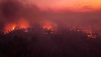 Schwere Feuer wüteten in diesem Jahr in Brasilien. Brennender Wald in der Nähe der Grenze zu Bolivien im Juli.