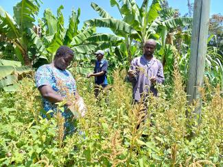 Kenyan project practicing holistic farming.