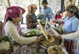 Church development cooperation is not necessarily about praying: farmers at a coffee field school in Indonesia sharing a meal.