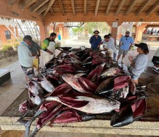 Mely Beltrán Der Bereich, wo in Rincon de La Playa Fische verarbeitet werden.