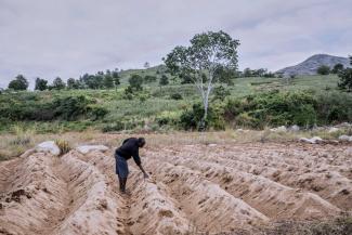 A farm that was destroyed by a cyclone in southern Malawi.