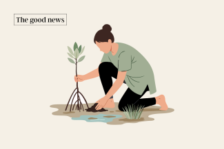 The Goldman Environmental Prize this year has gone exclusively to women.