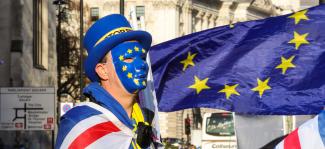 Some people still appreciate international rules: anti-Brexit protester in London.