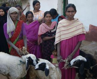 Diehl Frauen in Karnataka.