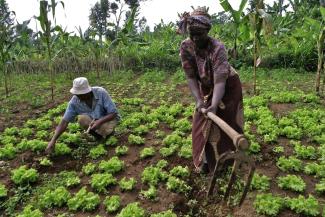 Young Germans learn about farming in Tanzania.