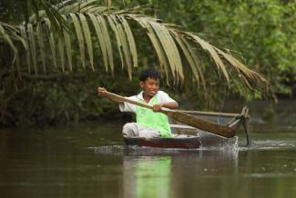 Mangrove forests like these on the Island of Borneo are particularly at risk.