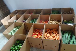 Organically grown vegetables from Karnataka in southern India.