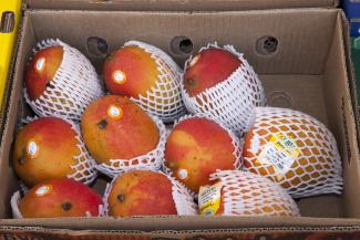 Peruvian Mangos on sale at a German supermarket.