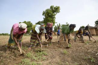 Where even an oxen plough seems like a luxury: farm women in Burkina Faso.