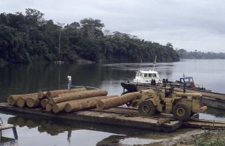 International timber corporations benefit from the exploitation of tropical forests: tree trunks on the Kouilou River in west DRC.