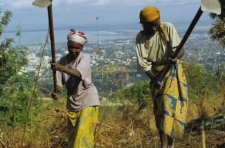 Widespread distrust makes collective action difficult: farmers in Burundi.