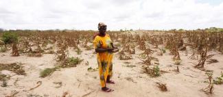 Drought in Kenya, March 2022.