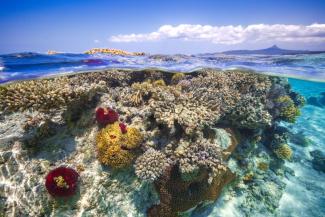 Coral reefs serve as sub-surface breakwaters and thus contribute to protecting coasts of Comoro Islands in the Indian Ocean, for example.