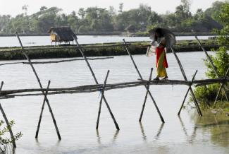 Ponds used for shrimp farming.