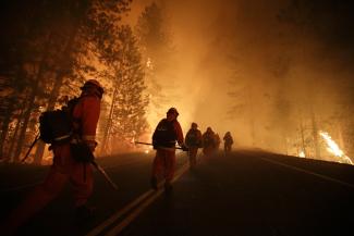 AP Photo/picture-alliance Wegen größerer Trockenheit richten Waldbrände in Nordamerika mehr Schaden an als früher: Feuerwehrleute am Rand des Yosemite National Parks im August.