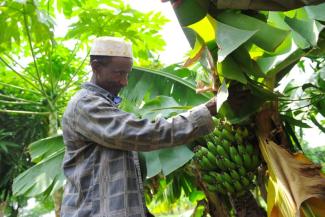 Ethiopia is on the way to becoming self-sufficient in agriculture.