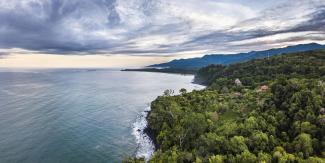 Urwälder, wie hier in Costa Rica, sind riesige CO2-Senken.