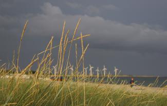 Denmark gets about one third of its electric power from windfarms: off-shore windmills.