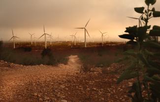Wind farm in Morocco: the government wants to boost the share of renewables in the country’s energy mix to 42% by 2020.
