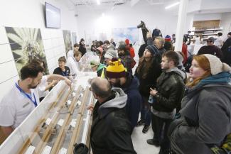 Shop counter in Winnipeg: cannabis is legal in Canada, but products may not be branded.