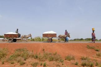 Without transport options, Mali could not export cotton.