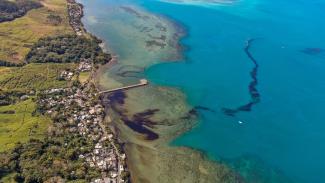 picture-alliance/abaca Die Ölpest von 2020 verschmutzte die Küste von Mauritius und den Blue Bay Marine Park.