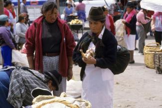 Cavies are sold for food at a market in Ecuador.